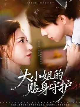 大小姐的贴身守护海报