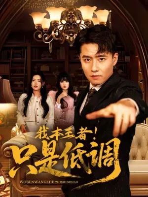 我本王者!只是低调海报