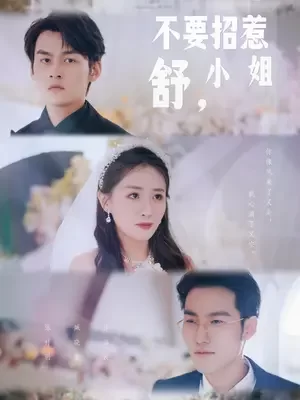 不要招惹舒小姐海报