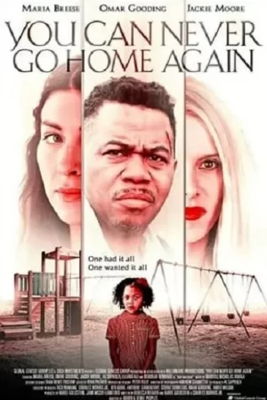 你永远不能再回家海报