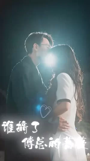 谁摘了傅总的蔷薇海报