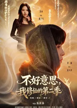 不好意思,我修仙的第二季海报
