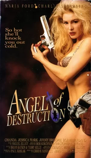 毁灭天使海报