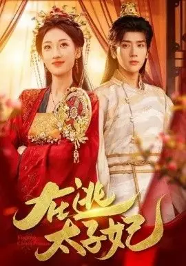 在逃太子妃海报