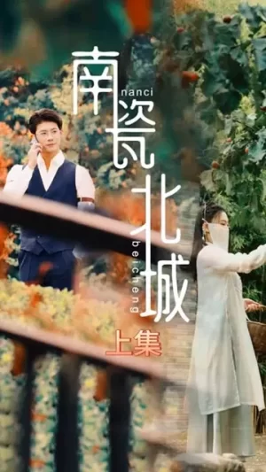 南瓷北城海报