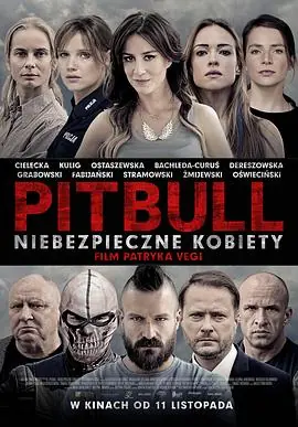 斗牛犬之女Pitbull.Niebezpiecznekobiety海报