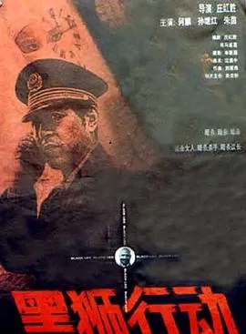 黑狮行动[电影解说]海报