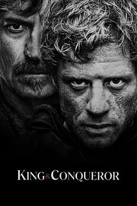 国王与征服者海报