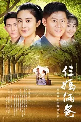 我的仨妈俩爸[电影解说]海报