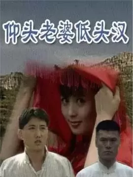 仰头老婆低头汉海报