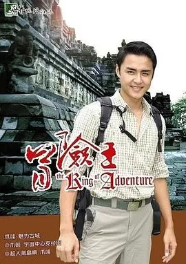 冒险王2011年海报