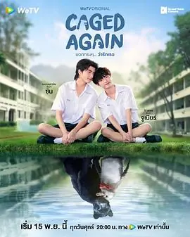再次被关CagedAgain海报