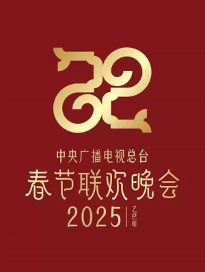 2025年中央电视台春节联欢晚会海报