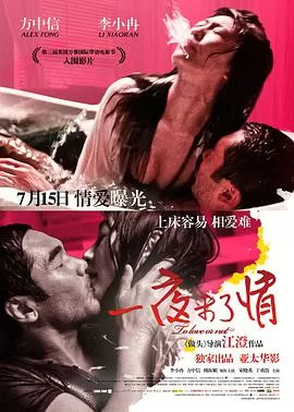 一夜未了情海报