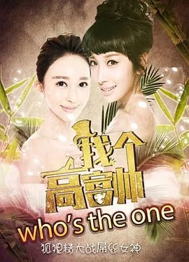 找个高富帅?海报