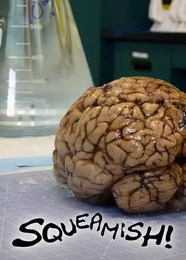 全球最恶心海报