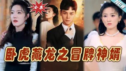 卧虎藏龙之冒牌神婿海报