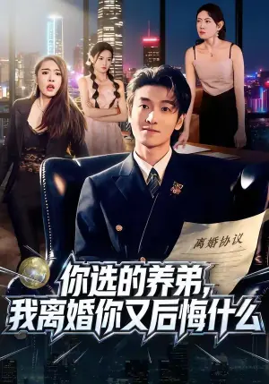 你选的养弟,我离婚你又后悔什么海报