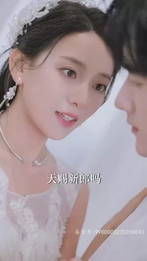 娇宠年下总裁撩爆了海报