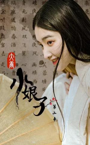 大唐小娘子第二季海报