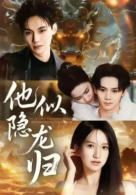 他似隐龙归海报