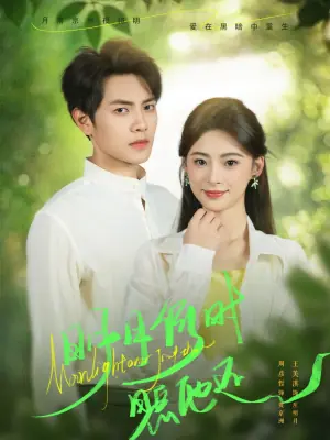 明月何时照他还海报