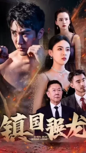镇国强龙海报
