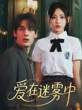 爱在迷雾中海报