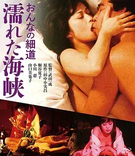 女人的小道:濡湿海峡[电影解说]海报