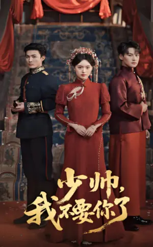少帅,我不要你了海报