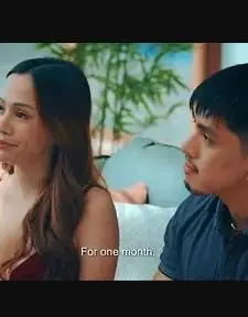 谁是女主人海报