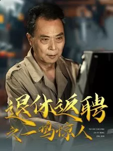 退休返聘之一鸣惊人海报