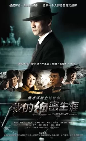 我的绝密生涯海报