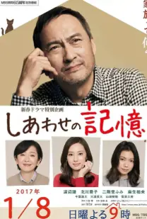 幸福的记忆特别篇海报