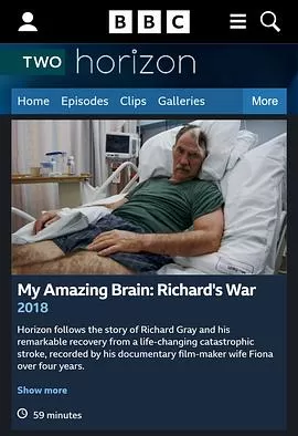 地平线系列:我的神奇大脑海报