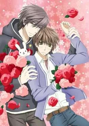 世界第一初恋第二季海报