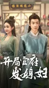 开局官府发媳妇海报