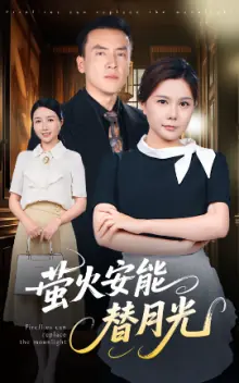 莹火安能替月光海报