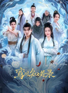 鸾凤知若录海报