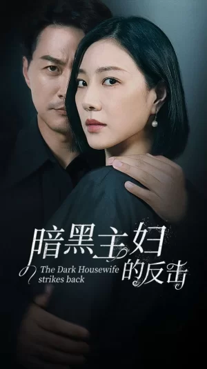 暗黑主妇的反击海报