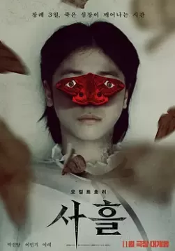 三天土耳其版海报