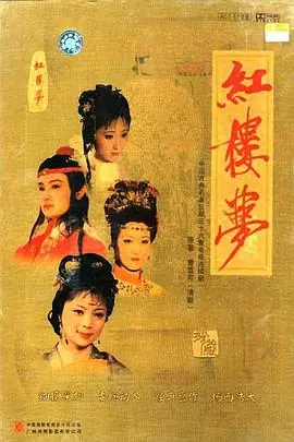 红楼梦淫史海报