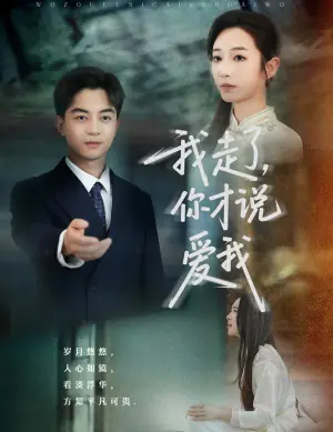 我走了,你才说爱我海报