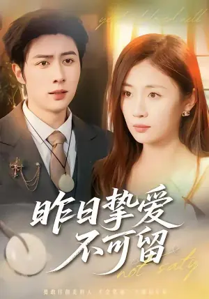 昨日挚爱不可留海报