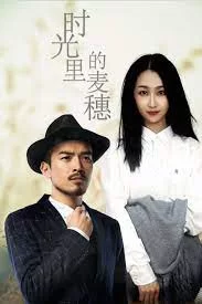 时光里的麦穗海报