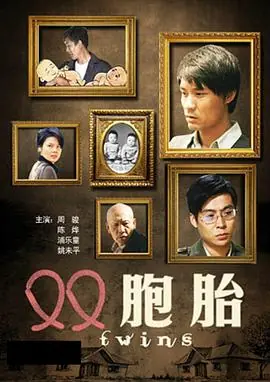 双胞胎海报