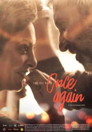 我与明星坠爱河海报