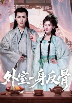 外室一身反骨海报