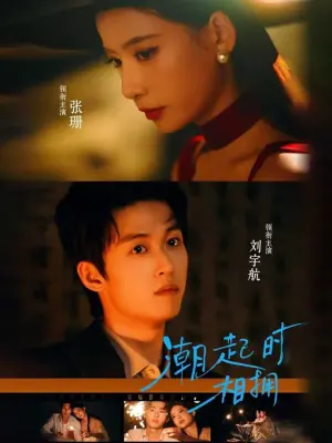 潮起时相拥海报