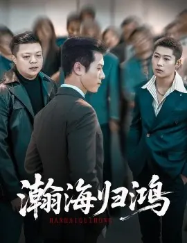 瀚海归鸿海报